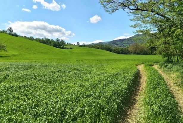 Gesù, il compagno di viaggio